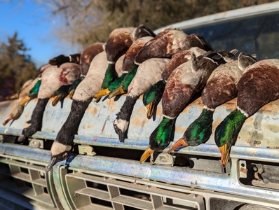 Established Kansas Outfitting Business with Lodge For Sale - image 45