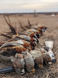 Established Kansas Outfitting Business with Lodge For Sale - image 43