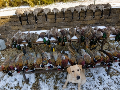 Established Kansas Outfitting Business with Lodge For Sale - image 50