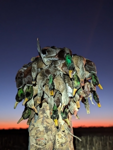 Established Kansas Outfitting Business with Lodge For Sale - image 44