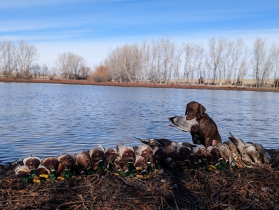 Established Kansas Outfitting Business with Lodge For Sale - image 46