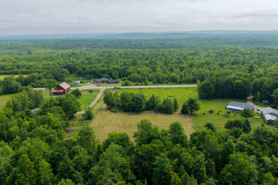 No Caption