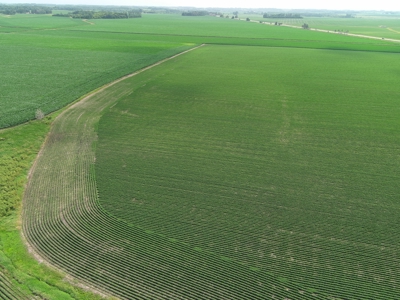 Prime Agricultural Investment For Sale In Owatonna, MN - image 22