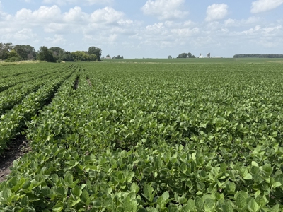 Prime Agricultural Investment For Sale In Owatonna, MN - image 26