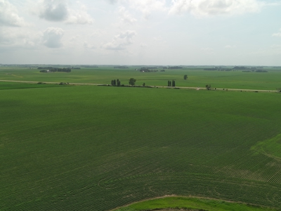 Prime Agricultural Investment For Sale In Owatonna, MN - image 34