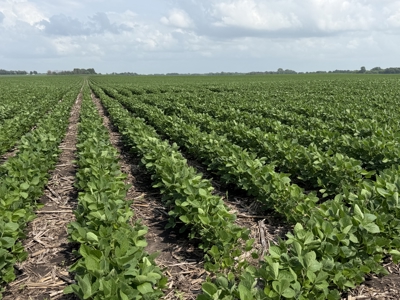 Prime Agricultural Investment For Sale In Owatonna, MN - image 25
