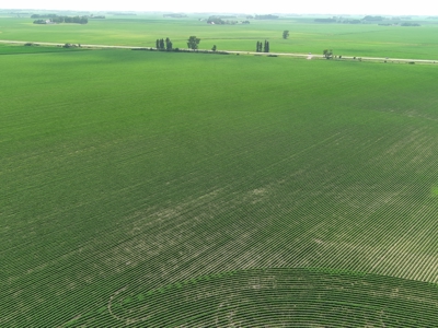 Prime Agricultural Investment For Sale In Owatonna, MN - image 33