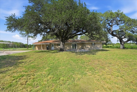 Country Living Under the Shade of Century-Old Live Oaks - image 28