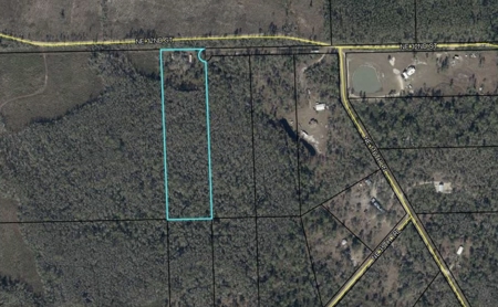 Beautiful 10-Acre Woodland Retreat In Jasper, FL - image 1