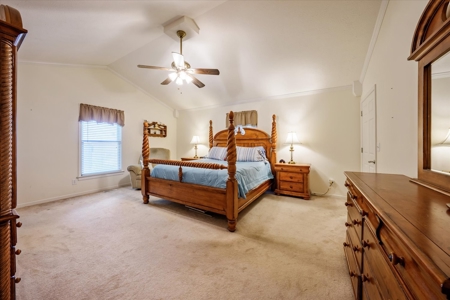 Country Home for Sale in Lewis County, Tennessee - image 16