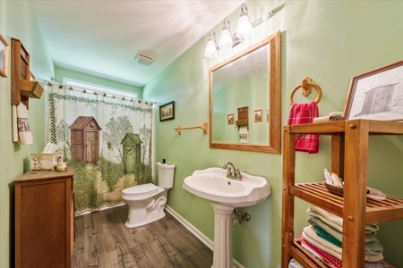 Country Home for Sale in Lewis County, Tennessee - image 13