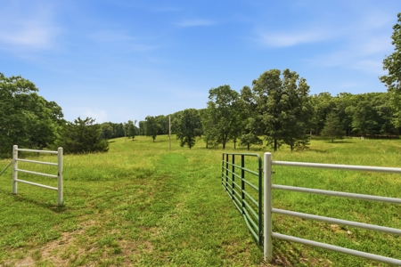 Country Home and Estate in West Plains, Howell County, Missouri - image 45