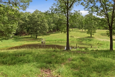 Country Home and Estate in West Plains, Howell County, Missouri - image 46