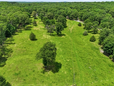 Country Home and Estate in West Plains, Howell County, Missouri - image 49