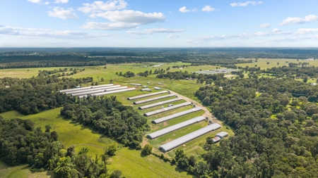 Lufkin, Texas Poultry Farm For Sale - image 8