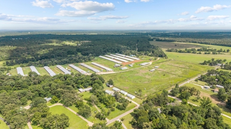 Lufkin, Texas Poultry Farm For Sale - image 5