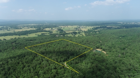 Cabin Site & Acreage - National Forest Area - image 9
