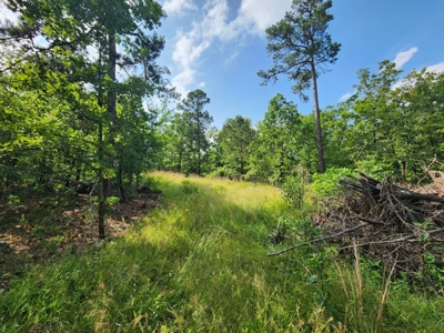Cabin Site & Acreage - National Forest Area - image 6
