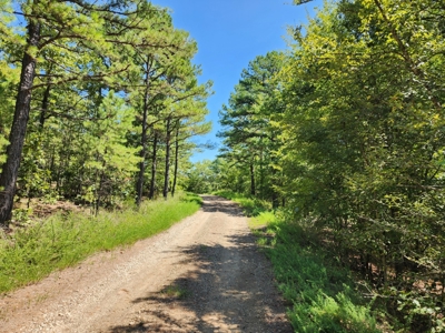 Cabin Site & Acreage - National Forest Area - image 2