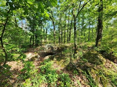 Cabin Site & Acreage - National Forest Area - image 7