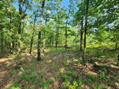 Cabin Site & Acreage - National Forest Area - image 8