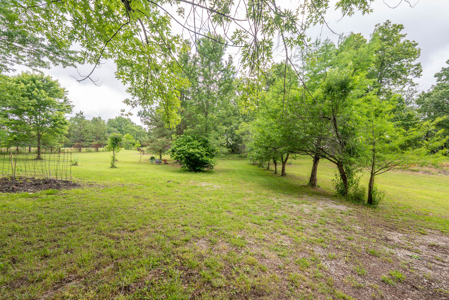 Country Home with Acreage | Alton, MO - image 28