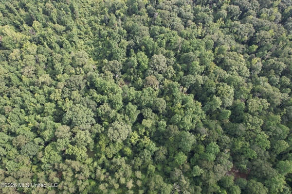 155 Acres Hunting Land for Sale in Centreville, MS