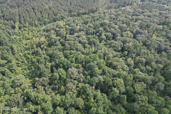 155 Acres Hunting Land for Sale in Centreville, MS
