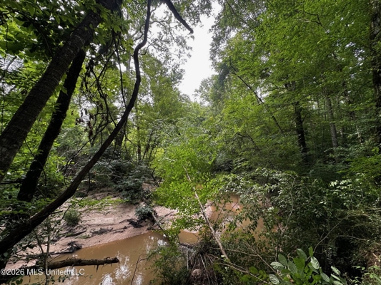 155 Acres Hunting Land for Sale in Centreville, MS