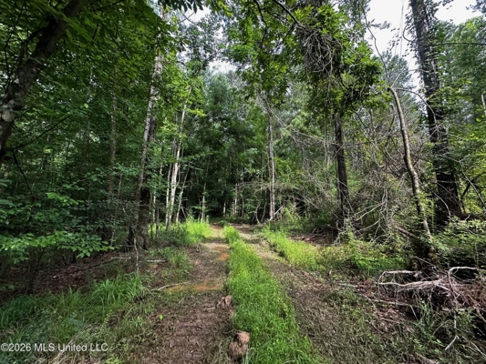 155 Acres Hunting Land for Sale in Centreville, MS