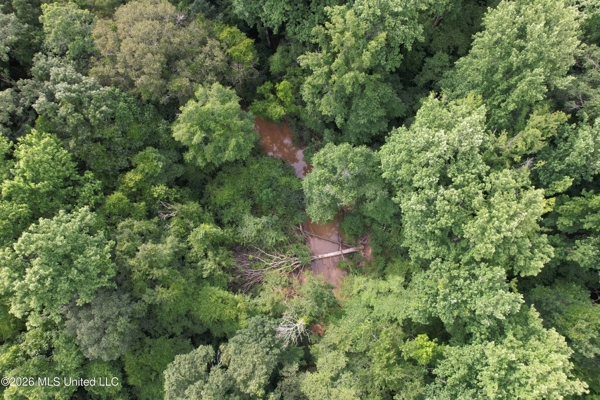 155 Acres Hunting Land for Sale in Centreville, MS