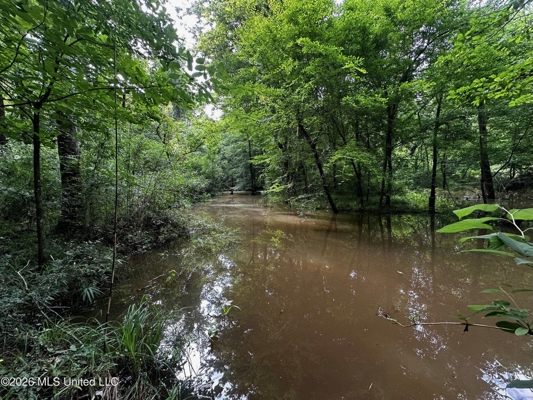 155 Acres Hunting Land for Sale in Centreville, MS