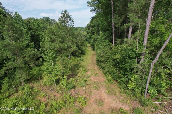 155 Acres Hunting Land for Sale in Centreville, MS