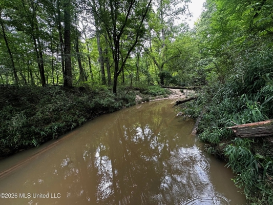 155 Acres Hunting Land for Sale in Centreville, MS