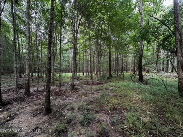 Listing 64