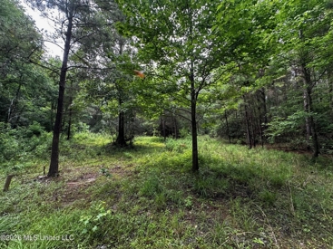 Listing 64