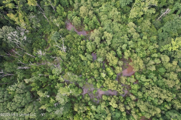155 Acres Hunting Land for Sale in Centreville, MS