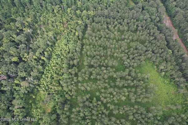 155 Acres Hunting Land for Sale in Centreville, MS