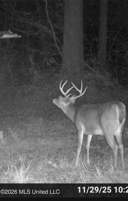 155 Acres Hunting Land for Sale in Centreville, MS