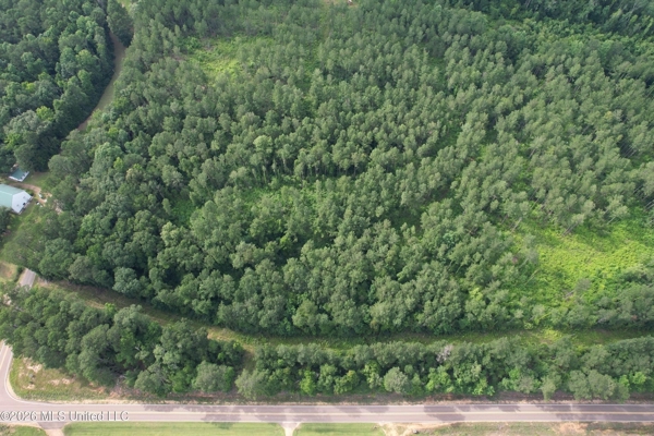 155 Acres Hunting Land for Sale in Centreville, MS