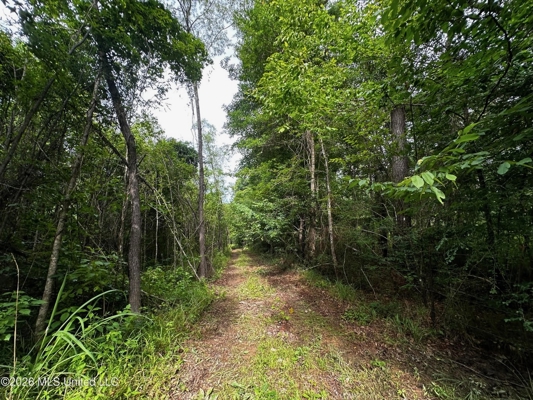 155 Acres Hunting Land for Sale in Centreville, MS