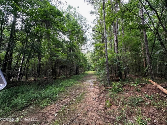 155 Acres Hunting Land for Sale in Centreville, MS