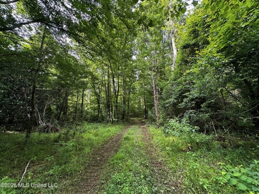 155 Acres Hunting Land for Sale in Centreville, MS