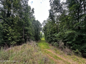 Listing 64