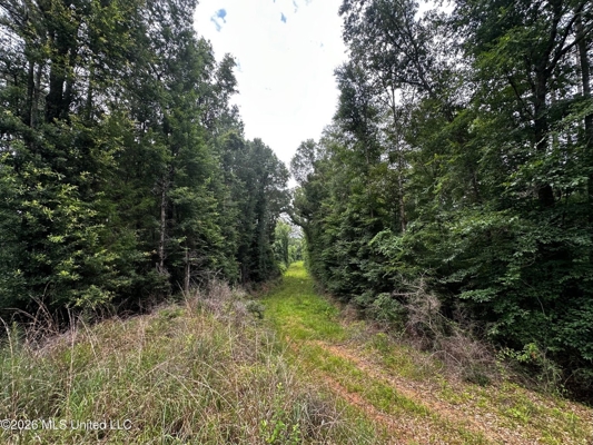 155 Acres Hunting Land for Sale in Centreville, MS
