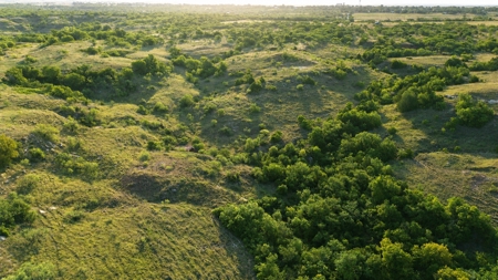 Hunting Ranch for Sale in Clay County Texas near Byers - image 3