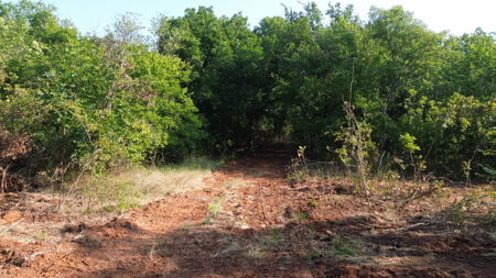 Hunting Ranch for Sale in Clay County Texas near Byers - image 28