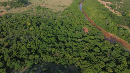 Hunting Ranch for Sale in Clay County Texas near Byers - image 40