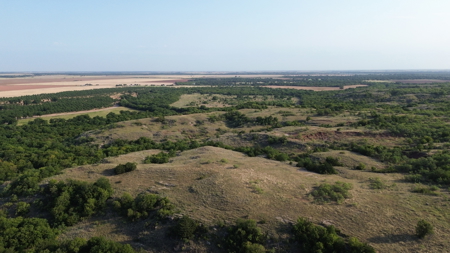 Hunting Ranch for Sale in Clay County Texas near Byers - image 49