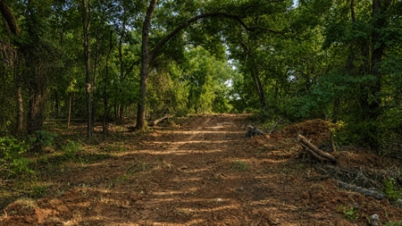 Hunting Ranch for Sale in Clay County Texas near Byers - image 32